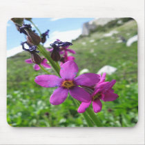 Purple Mountain Wildflower Mousepad