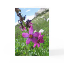 Purple Mountain Wildflower Note Card