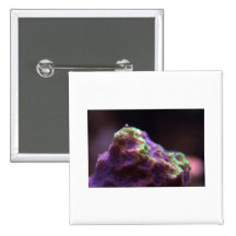 Purple Mountains MajestSea Pinback Button