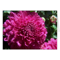 Purple Mum cards by dduhaime55 Purple Mum cards