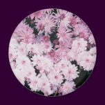 purple mums