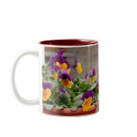 Purple Orange Violas Coffee Mugs