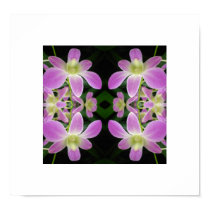 Purple Orchid Abstract Poster posters