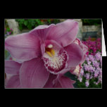 Purple Orchid Card