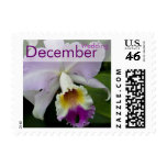 Purple Orchid • December Wedding Stamp