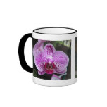 Purple Orchid Double with Border Ringer Mug