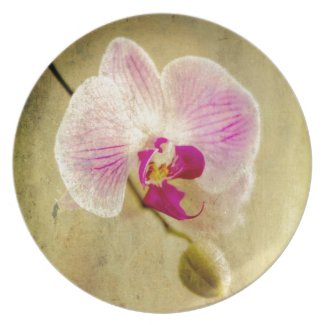 Purple Orchid Floral Flower Aged Antique Plate