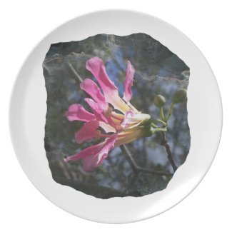 Purple orchid flower tree n sky rock background plate