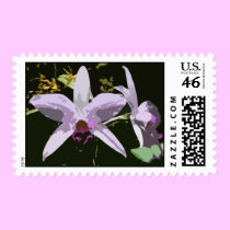 Purple Orchid postage by Flowerboutique Purple Orchid postage