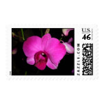 Purple Orchid Stamps