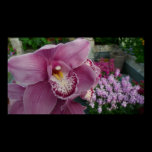 Purple Orchid Print