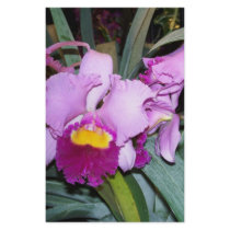 Purple Orchid stationery