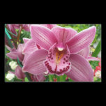 Purple Orchid Sticker