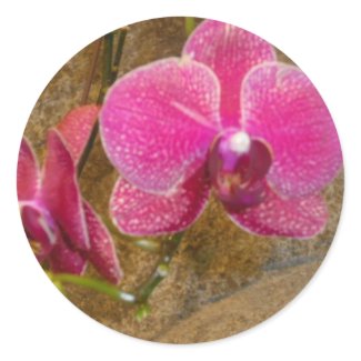 Purple Orchid Sticker sticker