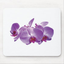 Purple Orchid Trio Mouse Mat