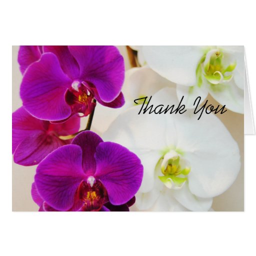Purple Orchid Tropical Thank You Card Zazzle