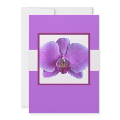 Purple Orchid Wedding Invitation (10-pack)
