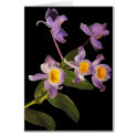 Purple Orchids Blank Card 3
