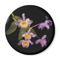 Purple Orchids - Blank  Magnet