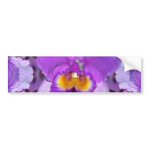 Purple Orchids Bumper Stickers