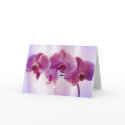 Purple Orchids cards by DedicatedDesigns Purple Orchids cards