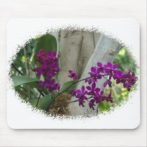 Purple Orchids mousepad