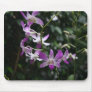 Purple Orchids Mousepad