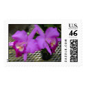 Purple Orchids postage