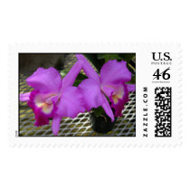 Purple Orchids postage by bluehawaii218 Purple Orchids postage