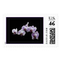Purple Orchids postage