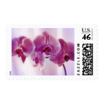 Purple Orchids Stamps