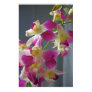 Purple Orchids Poster Print