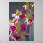 Purple Orchids Poster Print