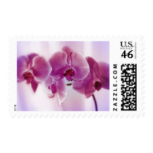 Purple Orchids Stamps