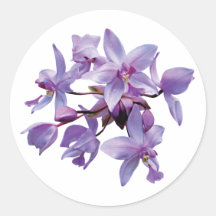 Purple Orchids with Dew Stickers
