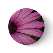 Purple Osteospurmum Button by emele1 Purple Osteospurmum Button
