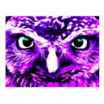 Purple Owl Post Card