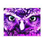 Purple Owl Post Card