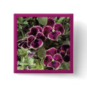Purple Pansies buttons by Kat_Kapers Purple Pansies buttons