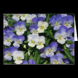 Purple Pansies Card