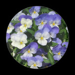 Purple Pansies Magnet