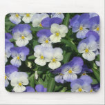Purple Pansies Mousepad