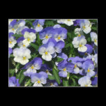 Purple Pansies Postcard