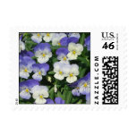 Purple Pansies Stamp