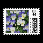 Purple Pansies Stamp