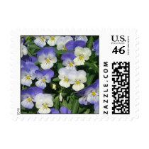 Purple Pansies Stamp