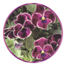 Purple Pansies stickers