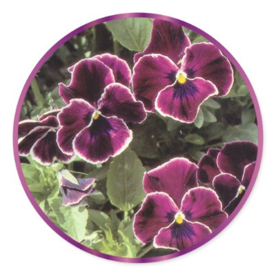 Purple Pansies Round Sticker