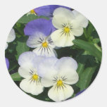 Purple Pansies Sticker