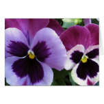 Purple Pansy Buddies cards